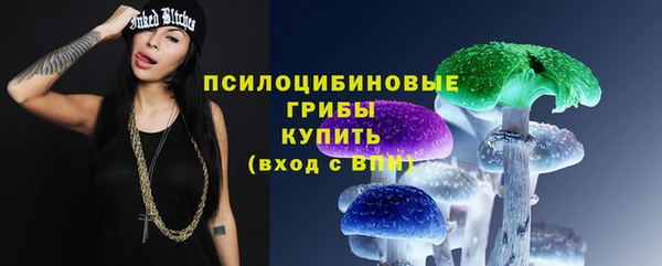 прущий лед Алексеевка