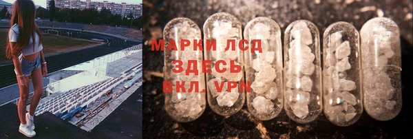 стаф Алексин