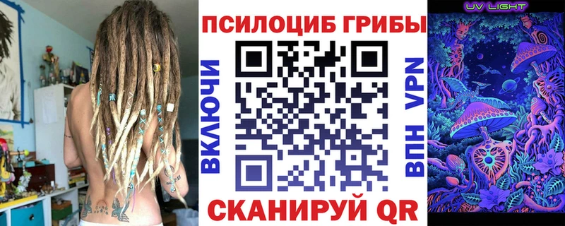 сколько стоит  Перевоз  Галлюциногенные грибы Magic Shrooms 
